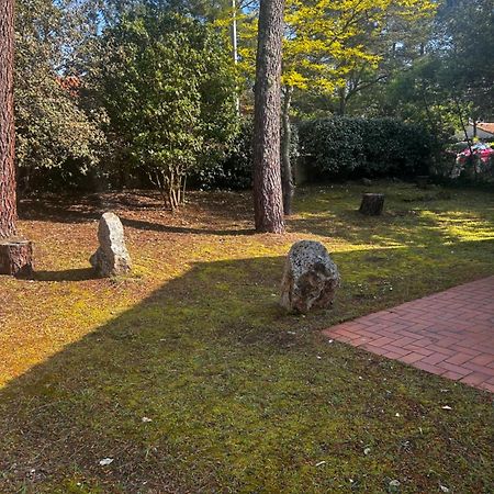 Les Grillons D'Eden Villa Saint-Jean-de-Monts Dış mekan fotoğraf