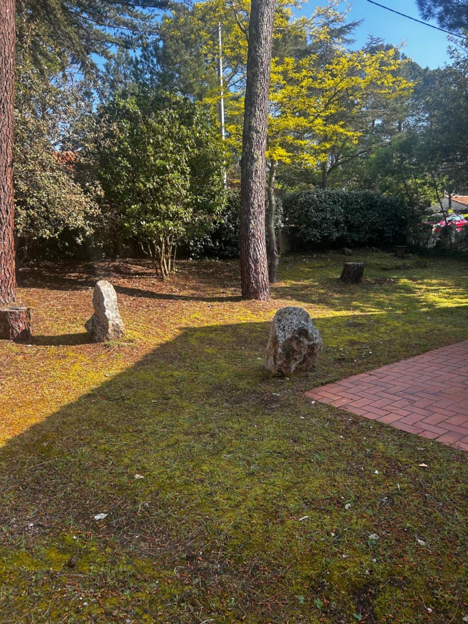 Les Grillons D'Eden Villa Saint-Jean-de-Monts Dış mekan fotoğraf